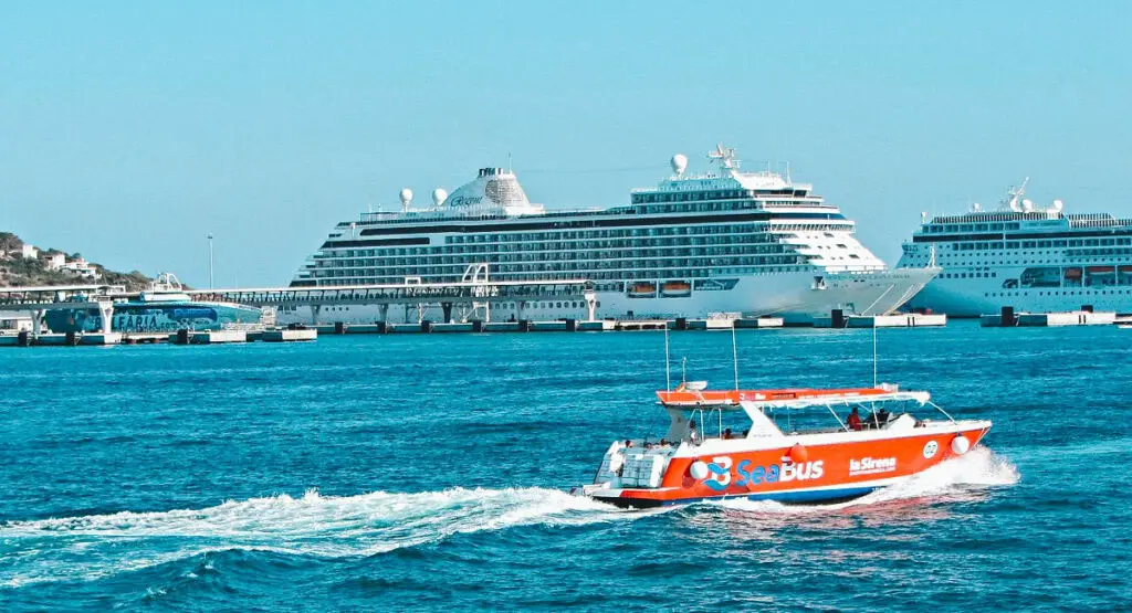 Ecologists call for a gradual reduction of cruise ships in Ibiza