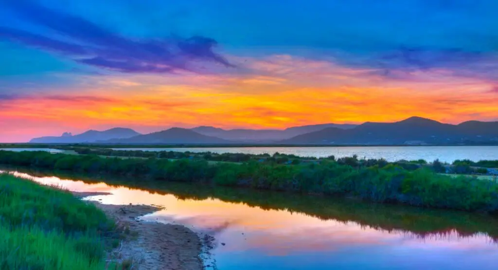 Ses Salines Natural Park