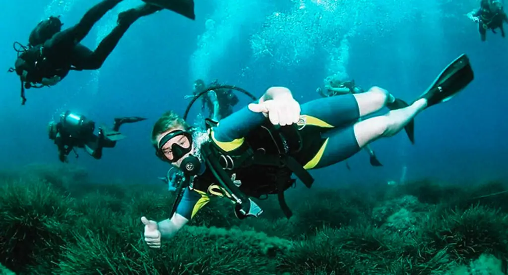 Scuba Diving Baptism and Snorkeling in Ibiza - Repeat Ibiza- August 2023